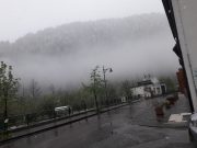 2019 - Jaguar in Friuli (27-28 Aprile) (16/29)